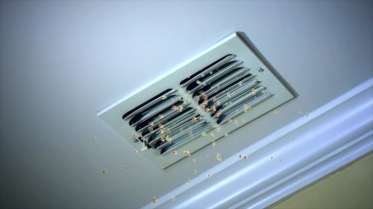 Best Local Air Duct Cleaning Services  in Country Squire Lakes, IN