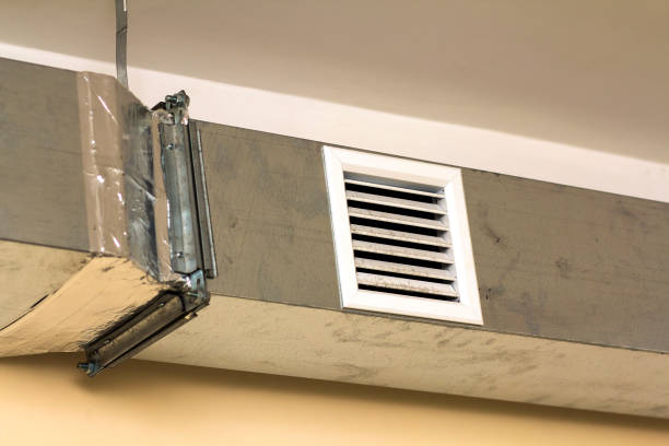 Best Professional Duct Cleaning Services  in Country Squire Lakes, IN